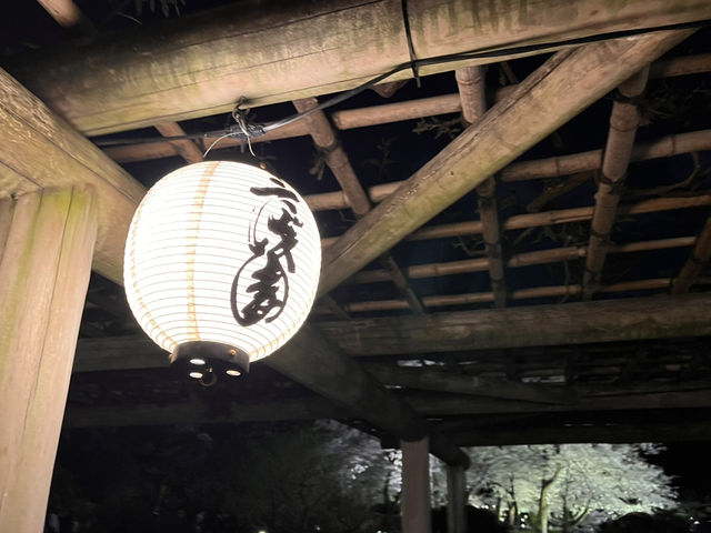 三渓園でお花見　夜ver @横浜🌃🌸