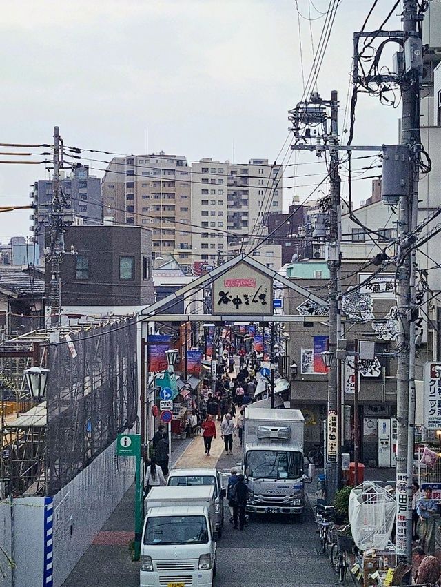 👟동네한바퀴, 우에노 도보 여행 코스!