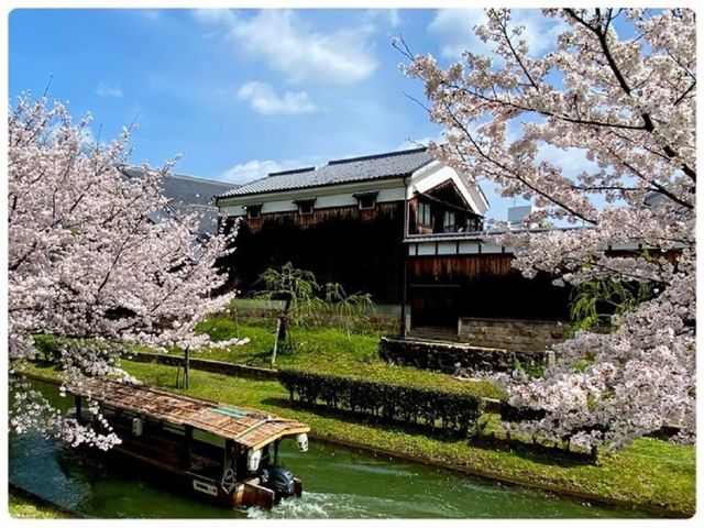 🌸 "Fushimi Canal: Kyoto’s Secret Sakura Tunnel You’ve Never Heard Of" 🌸