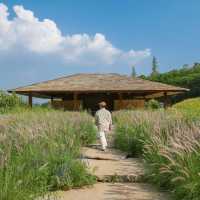 เปิดประสบการณ์ชมงานศิลป์กลางป่าใหญ่🌿