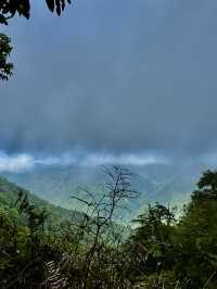 走走林相優美的復興尖山