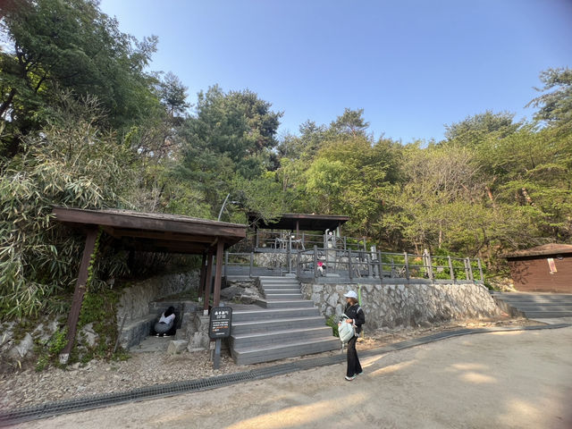 Namsan Vibes: Hike, Snap, Explore!