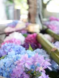 【栃木】紫陽花の人気スポット 仁王門と紫陽花、花手水など