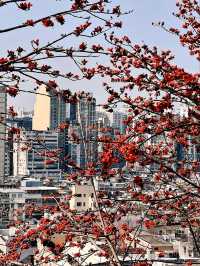 A Complete Guide to Macau Day Trip