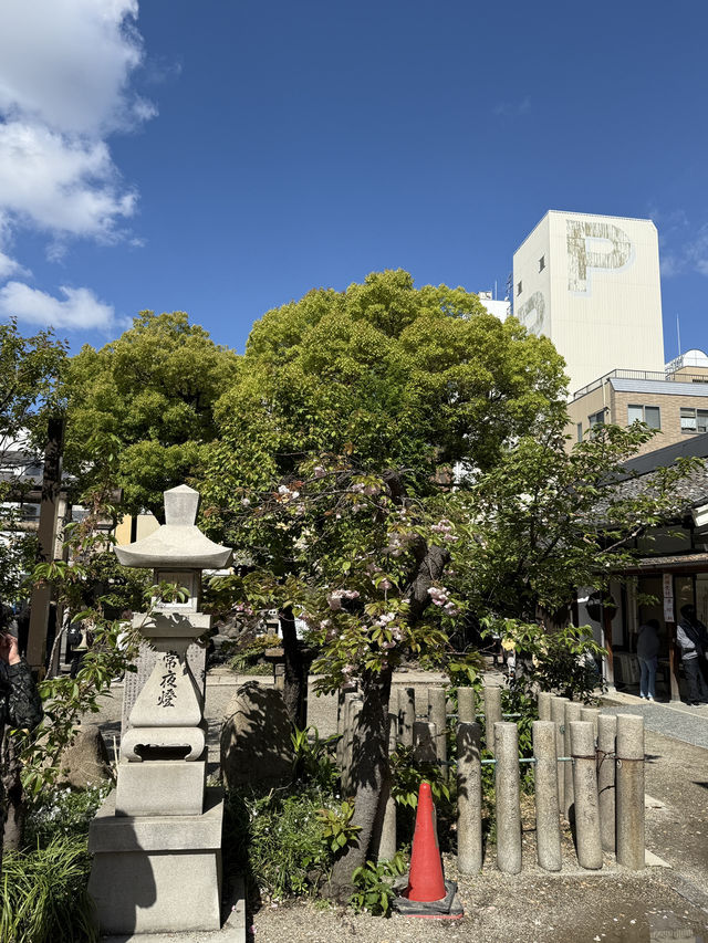 ศาลเจ้านัมบะ ยาซากะ (Namba Yasaka Shrine)