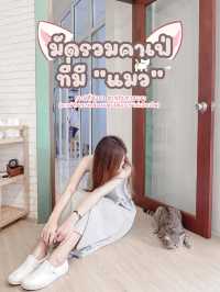 มัดรวมคาเฟ่สำหรับทาสแมว  พาไปคาเฟ่เด็กเอนฯ🐈