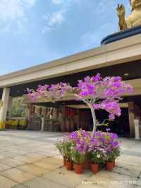 พุทธอุทยาน Fo Guang Shan พระนั่งองค์ใหญ่