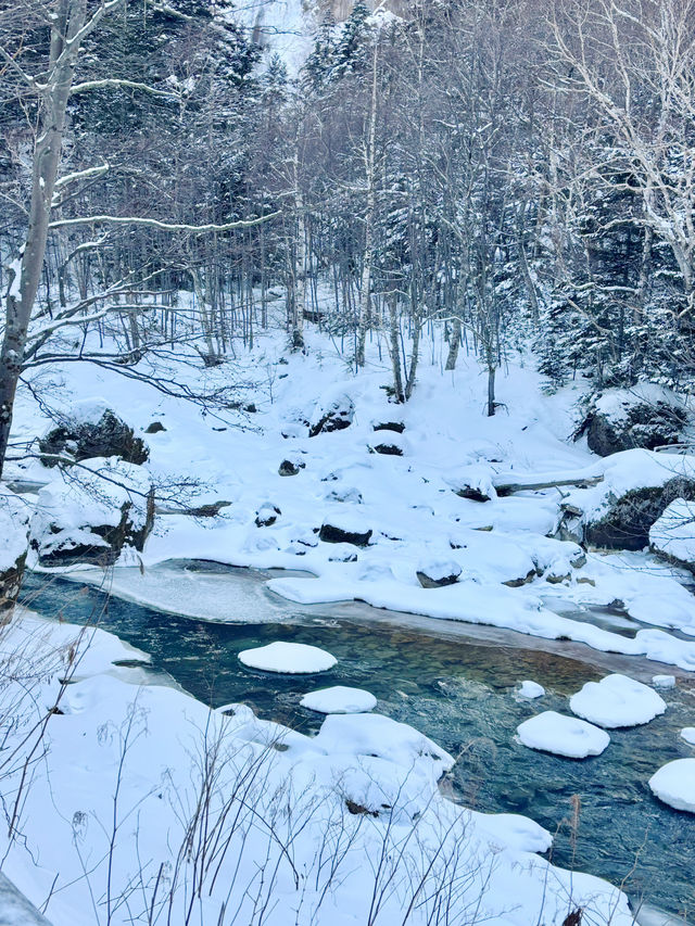 【北海道】層雲峽：被冰封的流星瀑布和銀河瀑布