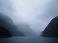 紐西蘭南島｜Milford Sound｜雨神眷顧的世界遺產，細雨中的壯麗峽灣