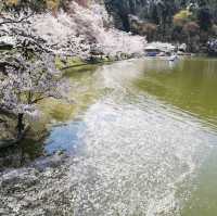 Suzaka Garyu Park, Nagano