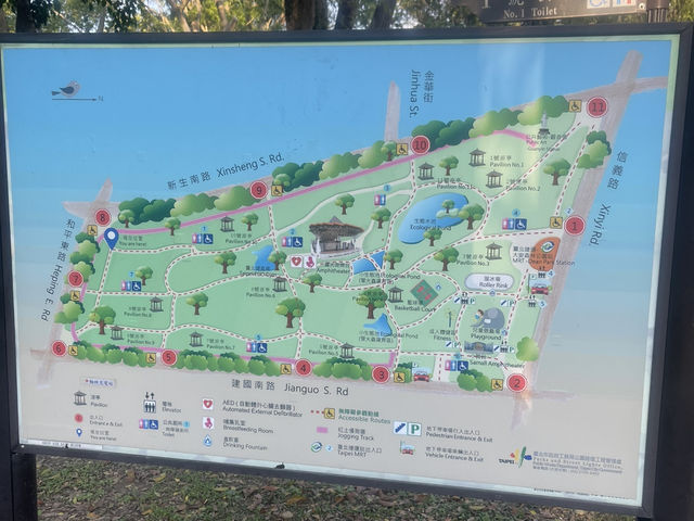 台北大安森林公園の繡球花仙境｜免費打卡＋偶遇松鼠小驚喜🐿️