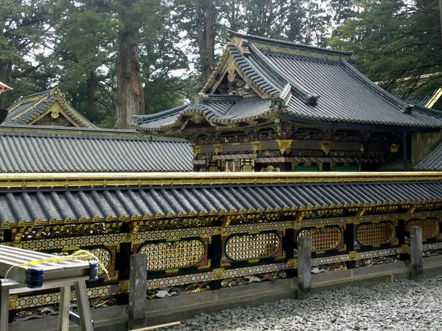 Enchanted Moments at Nikko Toshogu Shrine