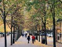 Kungsträdgården สวนสาธารณะใจกลางเมือง Stockholm