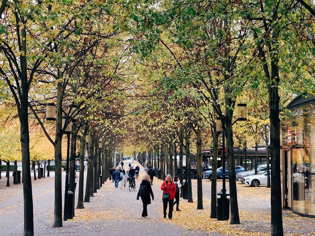 Kungsträdgården สวนสาธารณะใจกลางเมือง Stockholm