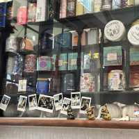  📚✨【香港隱世文青貓咪Café】✨🐱   **帕比安紅茶書室** 復古控必收藏！  