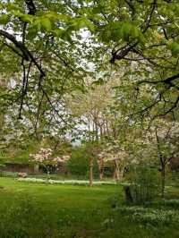 Calderstones Park