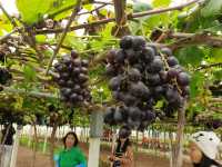 ไร่ทรัพย์หมื่นแสน ใหญ่และอลังการในแจ้ห่ม ลำปาง