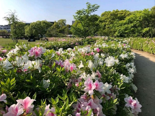 Kyoto’s Chill Hangout Spot