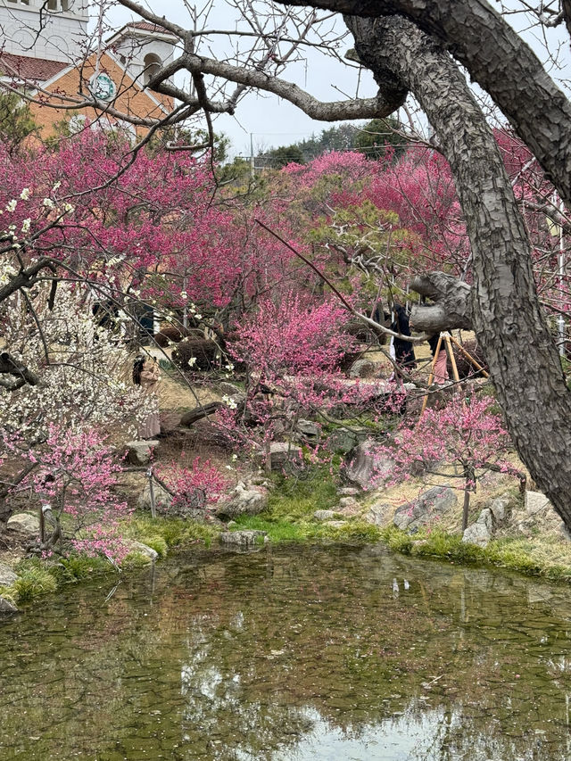 순천에서 자연과 감성 가득한 1박 2일 여행 떠나요!⛅️