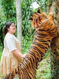 เที่ยวแบบใกล้ชิดธรรมชาติ ใกล้เสือ ที่สุดในชีวิต