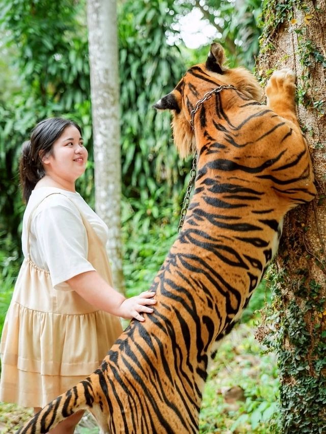 เที่ยวแบบใกล้ชิดธรรมชาติ ใกล้เสือ ที่สุดในชีวิต
