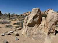 Joshua Tree National Park – CA
