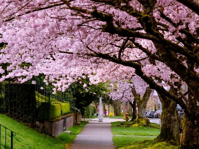 Capitol Hill seattle