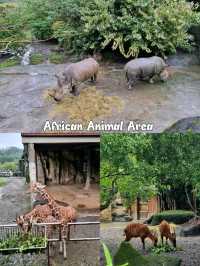 Taipei Zoo 🦓🦒🦚🦡🦘🦛🦙