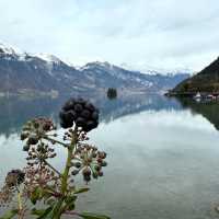 Turquoise Dreams at Lake Brienz: Where Mountains Kiss the Water