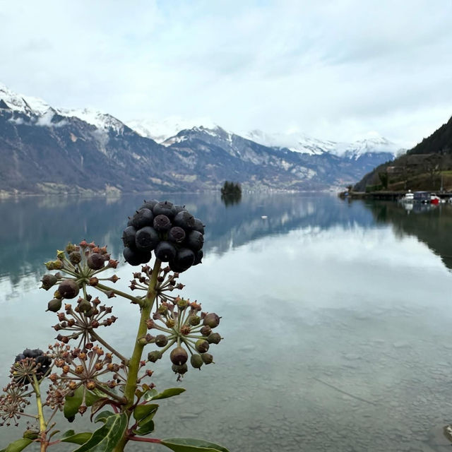 Turquoise Dreams at Lake Brienz: Where Mountains Kiss the Water