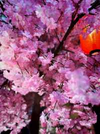 Sakura Tunnel Meets Rapeseed Sea – A Gongendo Dreamscape
