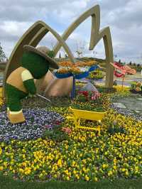 Pyeongtaek in Bloom: A Tranquil Cherry Blossom Retreat