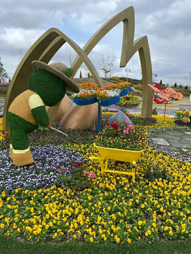 Pyeongtaek in Bloom: A Tranquil Cherry Blossom Retreat