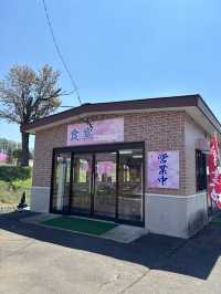 ひがしもこと芝桜公園で春の絶景体験！ピンクのじゅうたんに包まれる感動スポット
