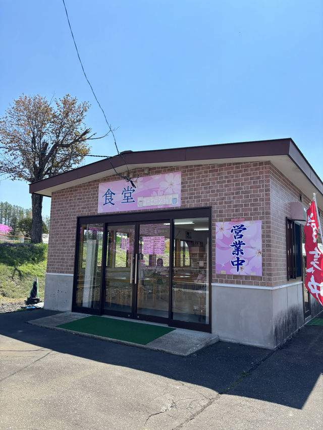 ひがしもこと芝桜公園で春の絶景体験！ピンクのじゅうたんに包まれる感動スポット