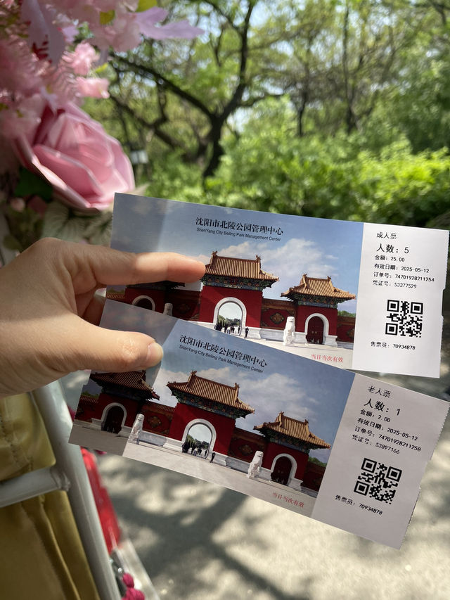 🌸Shenyang in Spring：From Blossoms to Banchan