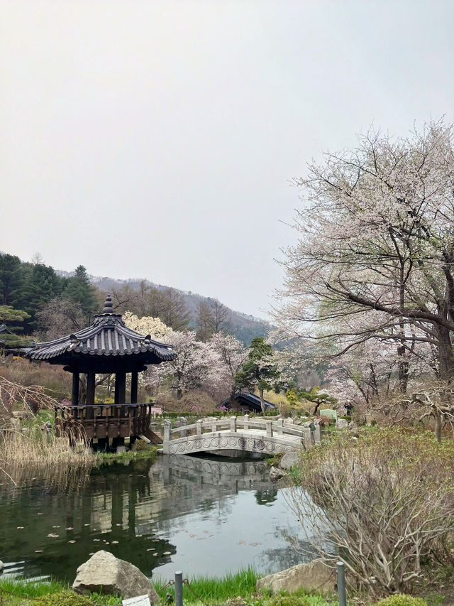 산책하기 좋은 힐링 야외데이트🌲