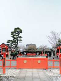 Where Petals Meet Bamboo – A Dreamy Day in Arashiyama