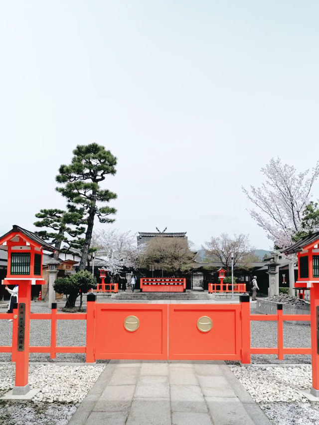 Where Petals Meet Bamboo – A Dreamy Day in Arashiyama