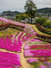 Tokushima – Dance, Mountains, and Cultural Harmony in Shikoku