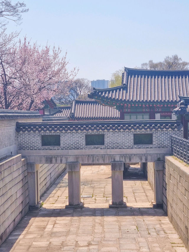 💕청덕궁 가족과 함께 거닐기 좋은 곳 🌲