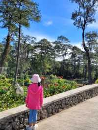 Calm Vibes at Baguio Botanical Garden
