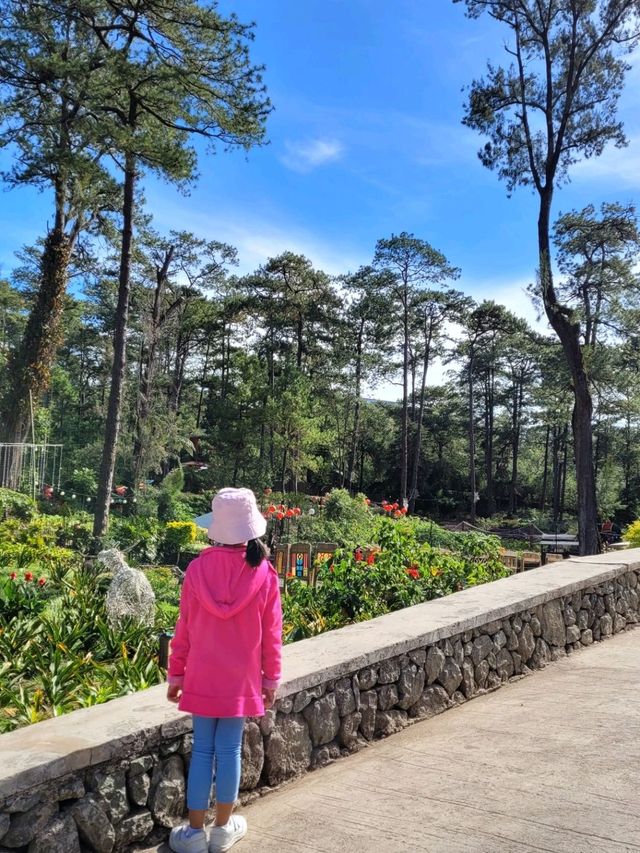 Calm Vibes at Baguio Botanical Garden