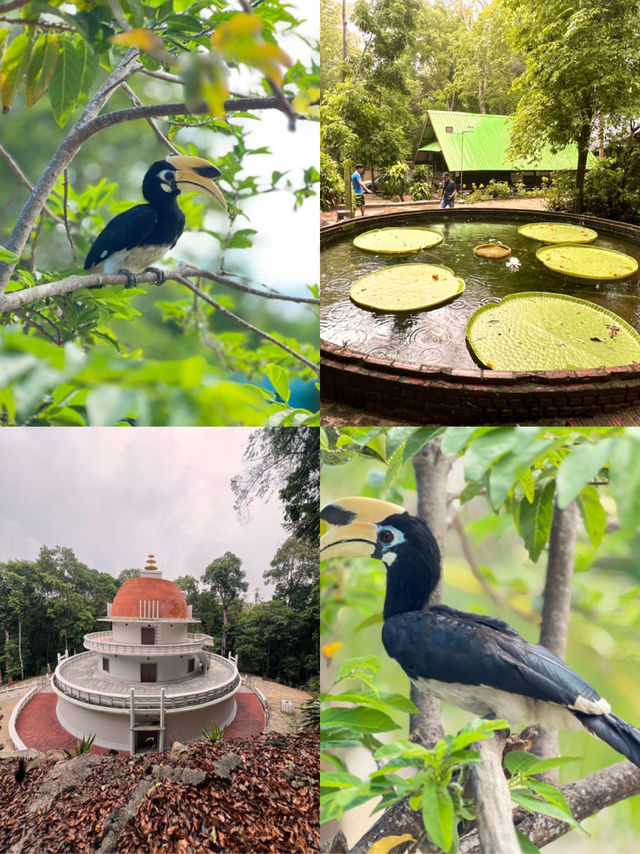 ที่เที่ยวสุราษฎร์ธานี