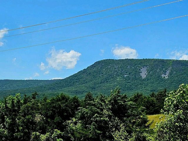 Skyline Adventures: Hiking Through Shenandoah’s Blue Ridge Beauty