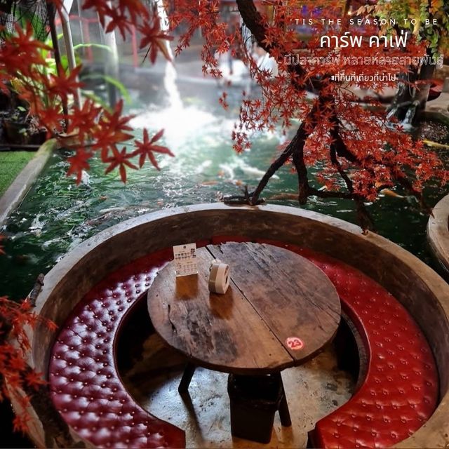 ชมปลาคาร์พ ในคาเฟ่สวย - ที่ คาร์พ คาเฟ่ เชียงใหม่