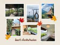 “ดอยช้าง พักใจในสายหมอก หอมกาแฟกลางขุนเขา”