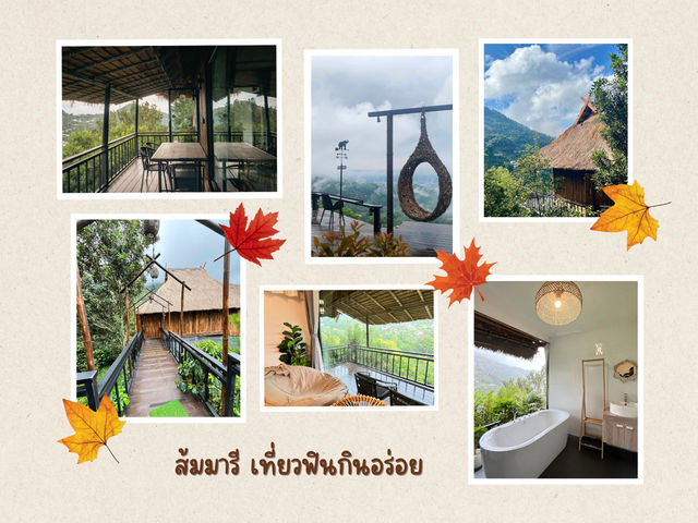“ดอยช้าง พักใจในสายหมอก หอมกาแฟกลางขุนเขา”