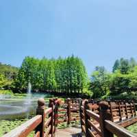 My Visit to Cheongnamdae 