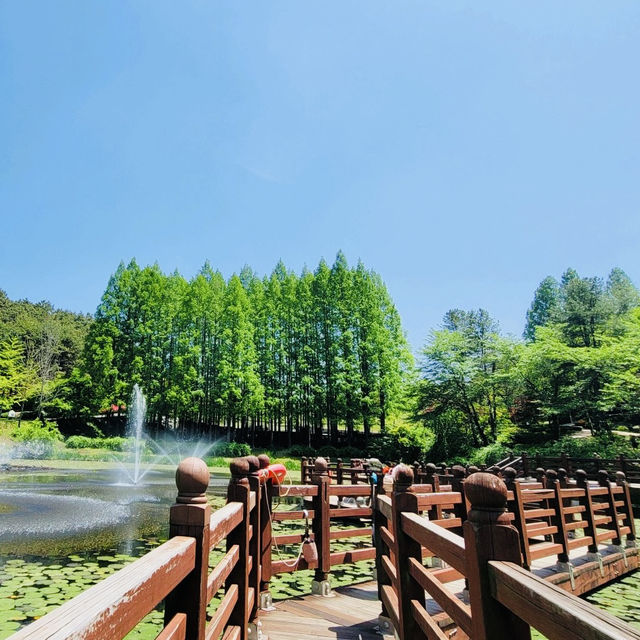 My Visit to Cheongnamdae 